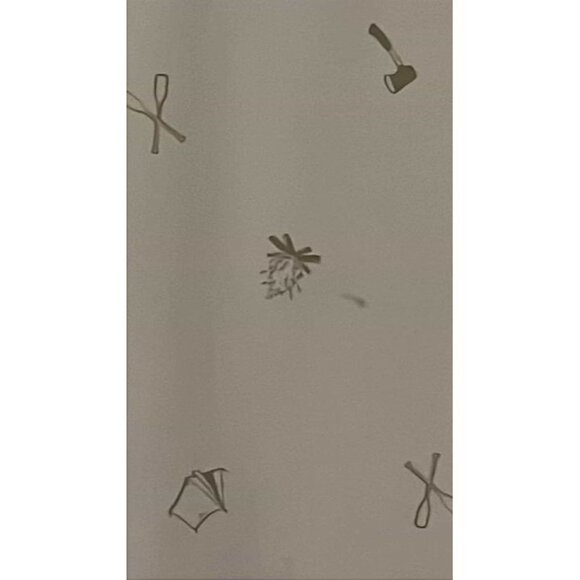 Lake & Trail Dri Wick Camp Themed Short Sleeve Button Up Mens L Shirt/CHARITY SA - Picture 6 of 7